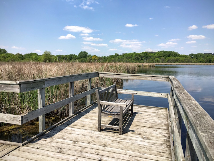 Timothy Pate Westwood Hills