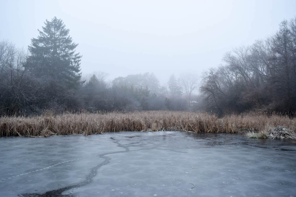 Timothy Pate Foggy Minneapolis