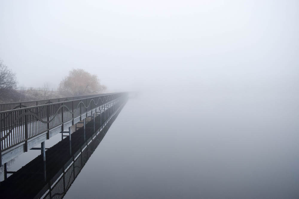 Timothy Pate Foggy Minneapolis