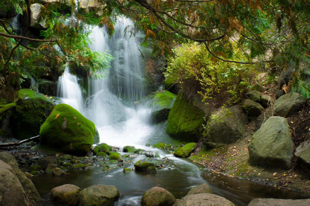 Timothy Pate Landscape Arboretum