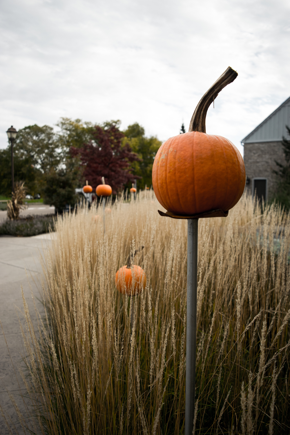 Timothy Pate Landscape Arboretum
