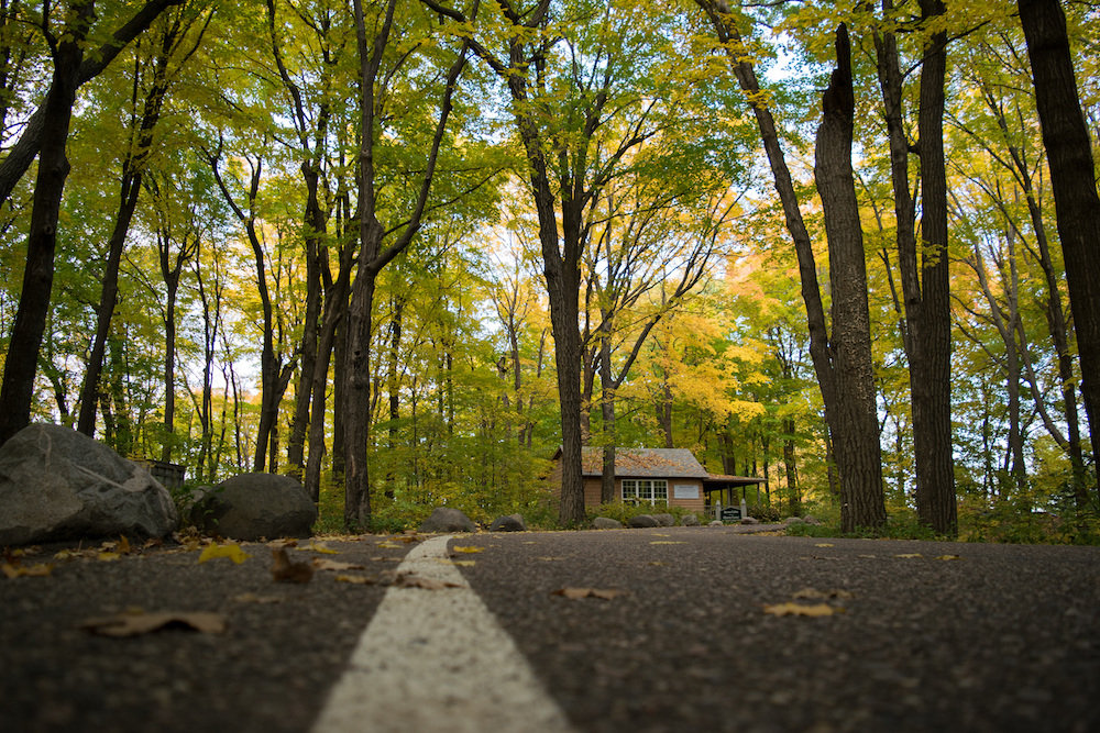 Timothy Pate Landscape Arboretum