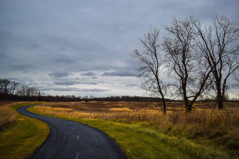 Timothy Pate Photography